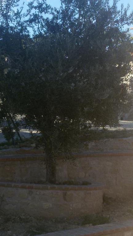 Agriturismo Villalta Ponte Felcino Εξωτερικό φωτογραφία