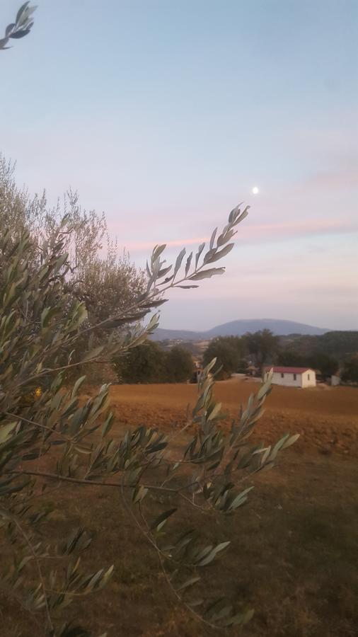 Agriturismo Villalta Ponte Felcino Εξωτερικό φωτογραφία
